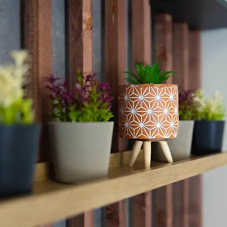 Διαμέρισμα Gpx Clr - Junior Apartment A5 *