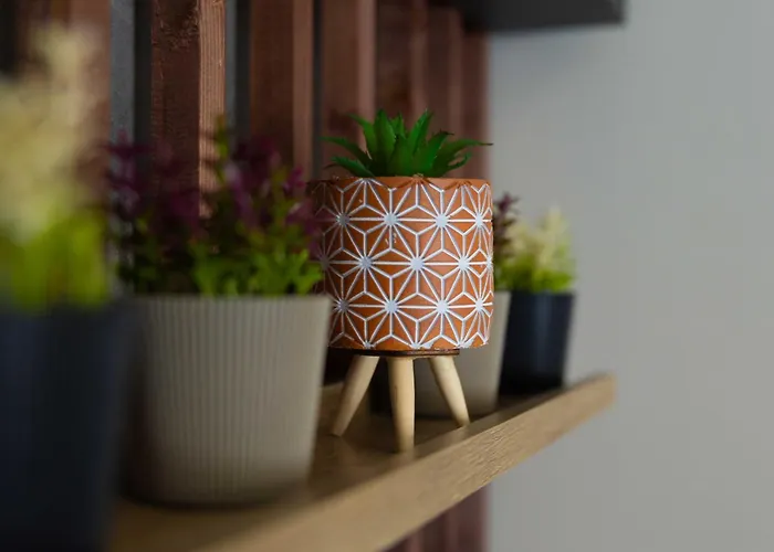 Appartement Gpx Clr - Junior A5 *