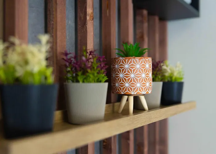 Appartement Gpx Clr - Junior A5 *